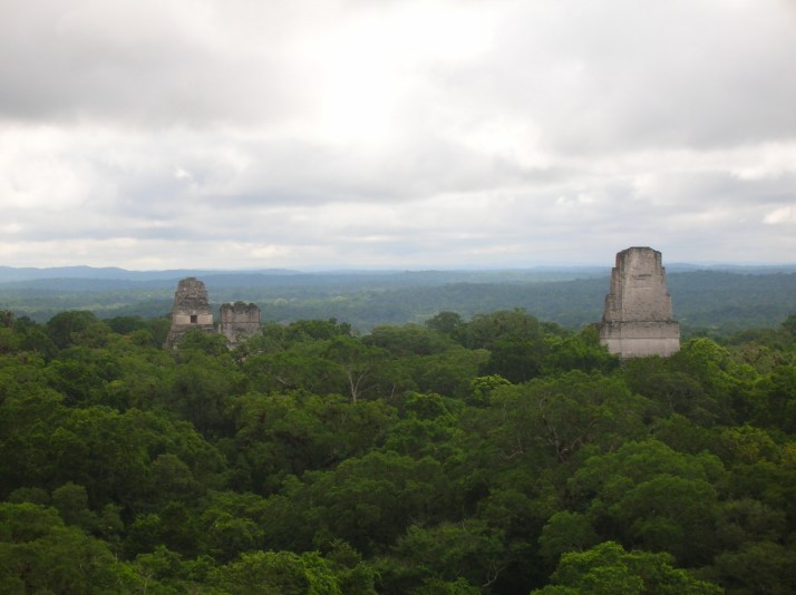 Tikal view