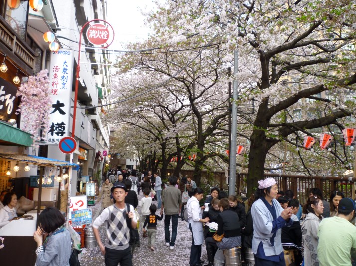 Calle Nakameguro 