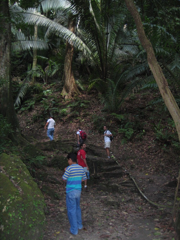 Camino del yacimiento