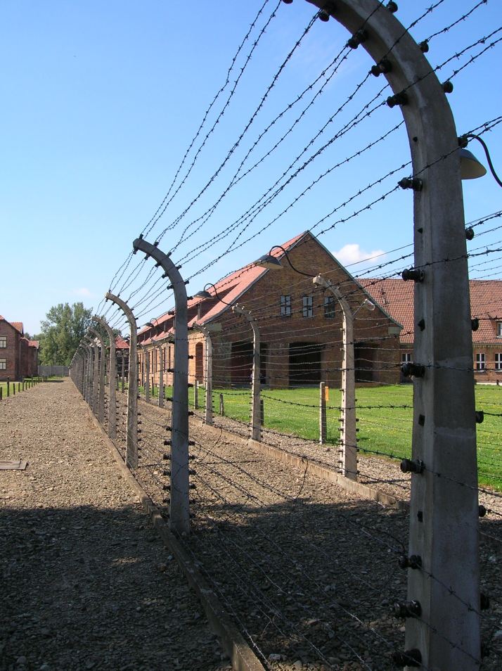 Las alambradas de Auschwitz I