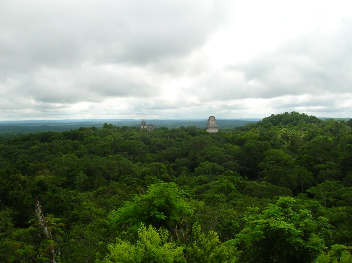 Un manto verde cubre Tikal. Vistas desde la cima del Templo IV