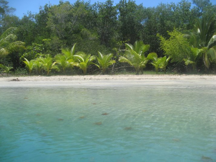 Bocas del Toro 089