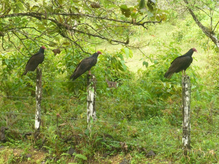 Los 3 amigos esperando la merienda