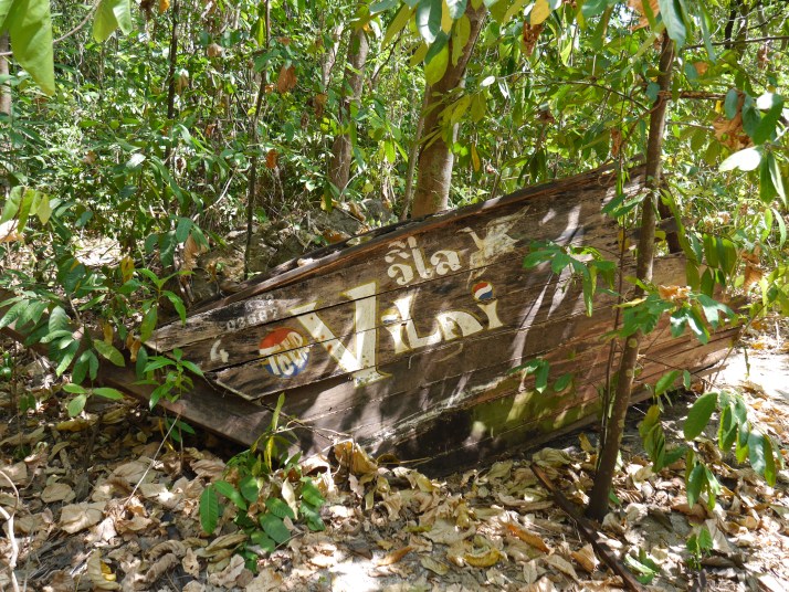 Los efectos del tsunami de 2004