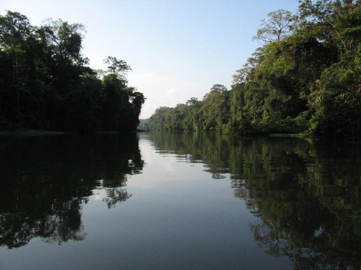 63.- Dia 5 - Tortuguero
