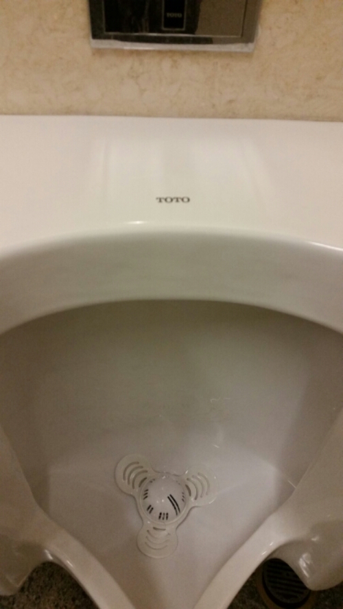 20150613_105913.jpg Mi amigo Toto