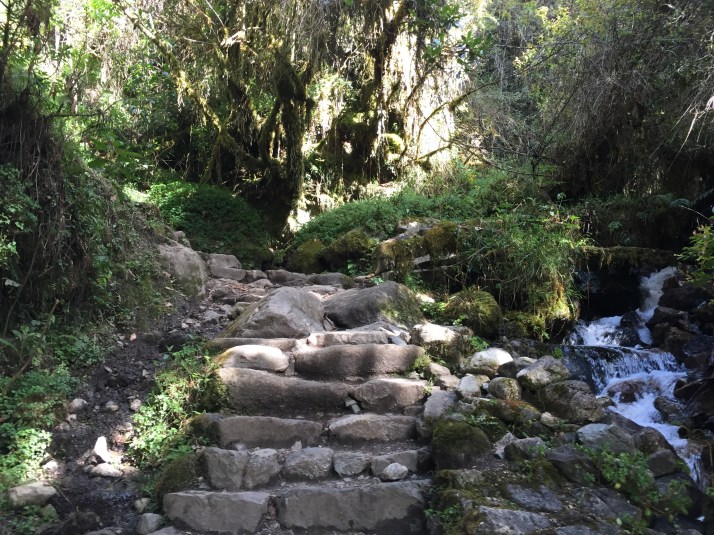 Los temibles y temidos escalones