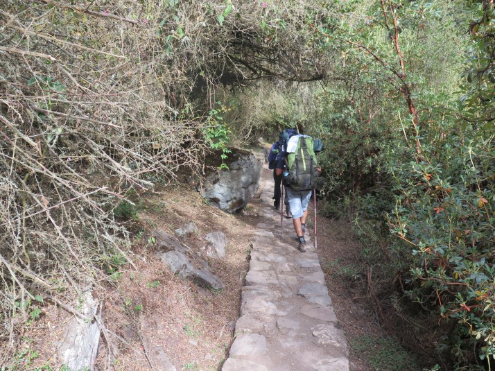 Por fin la calzada inca