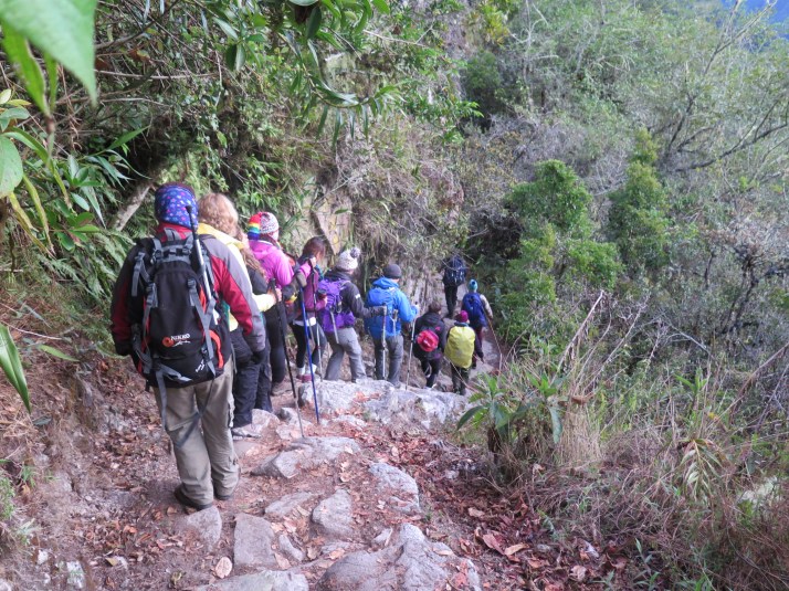 El último tramo del Camino Inca con el grupo marchando compacto